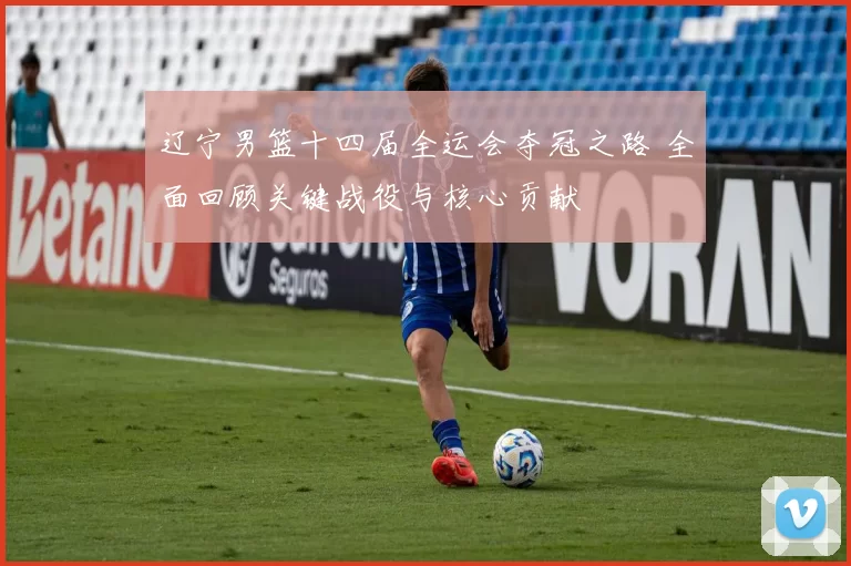 辽宁男篮十四届全运会夺冠之路 全面回顾关键战役与核心贡献