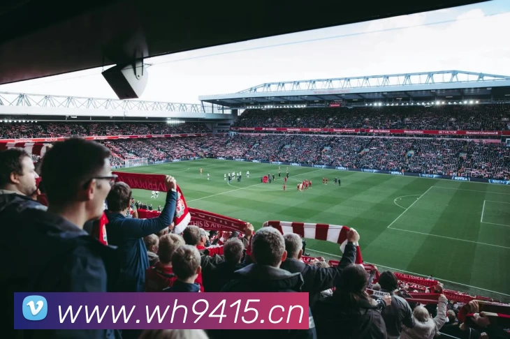 多媒体互动体验